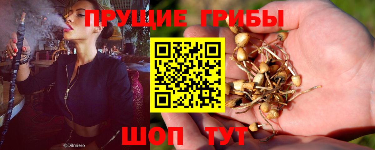Галлюциногенные грибы MAGIC MUSHROOMS  Вход с VPN  Дербент 