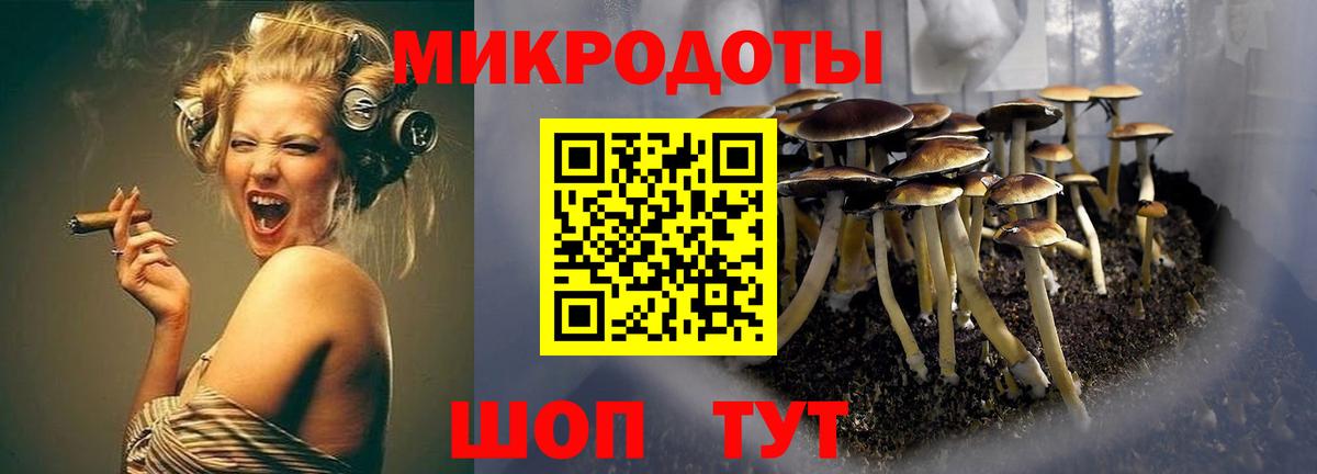 Псилоцибиновые грибы MAGIC MUSHROOMS Дербент